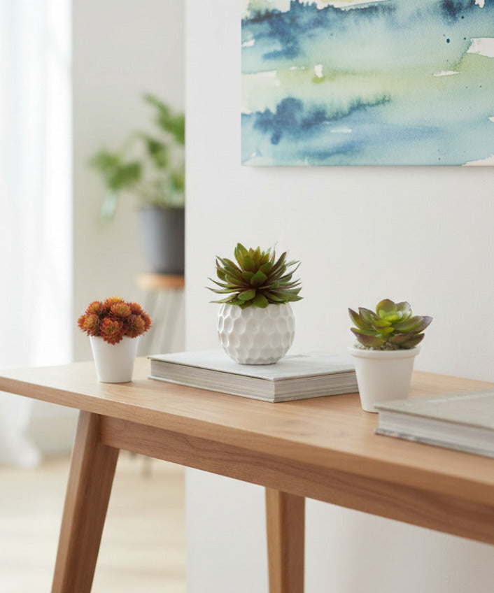 SUCULENTAS MINI X12 VINHO 14CM Cod: A6429-VI