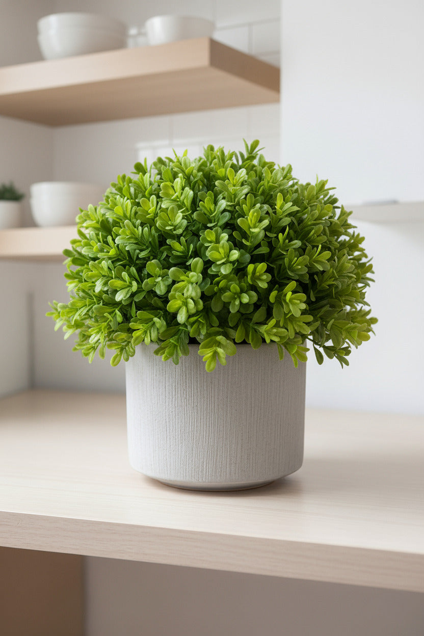 BUXINHO EM POTE PVC 20CM Cod: A6503