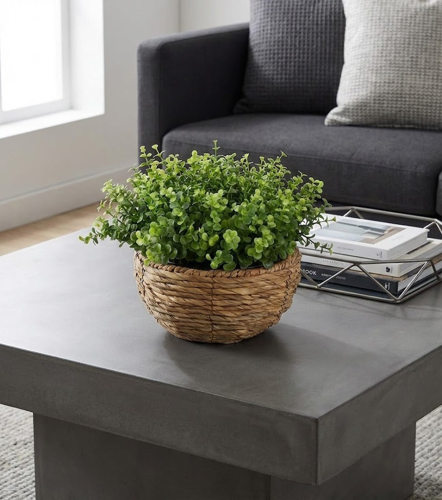 EUCALIPTOS EM POTE PVC 20CM Cod: A6643