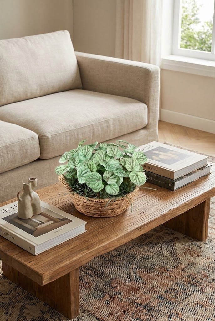 PEPERÔMIAS C/ MINI TILLANDSIAS NO CESTO 32CM DIÂM Cod: A7049