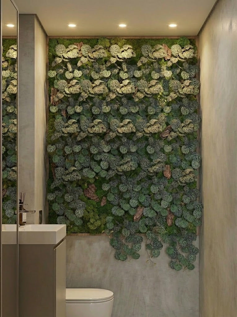 SAXIFRAGA PENDENTE  50CM Cod: 8825