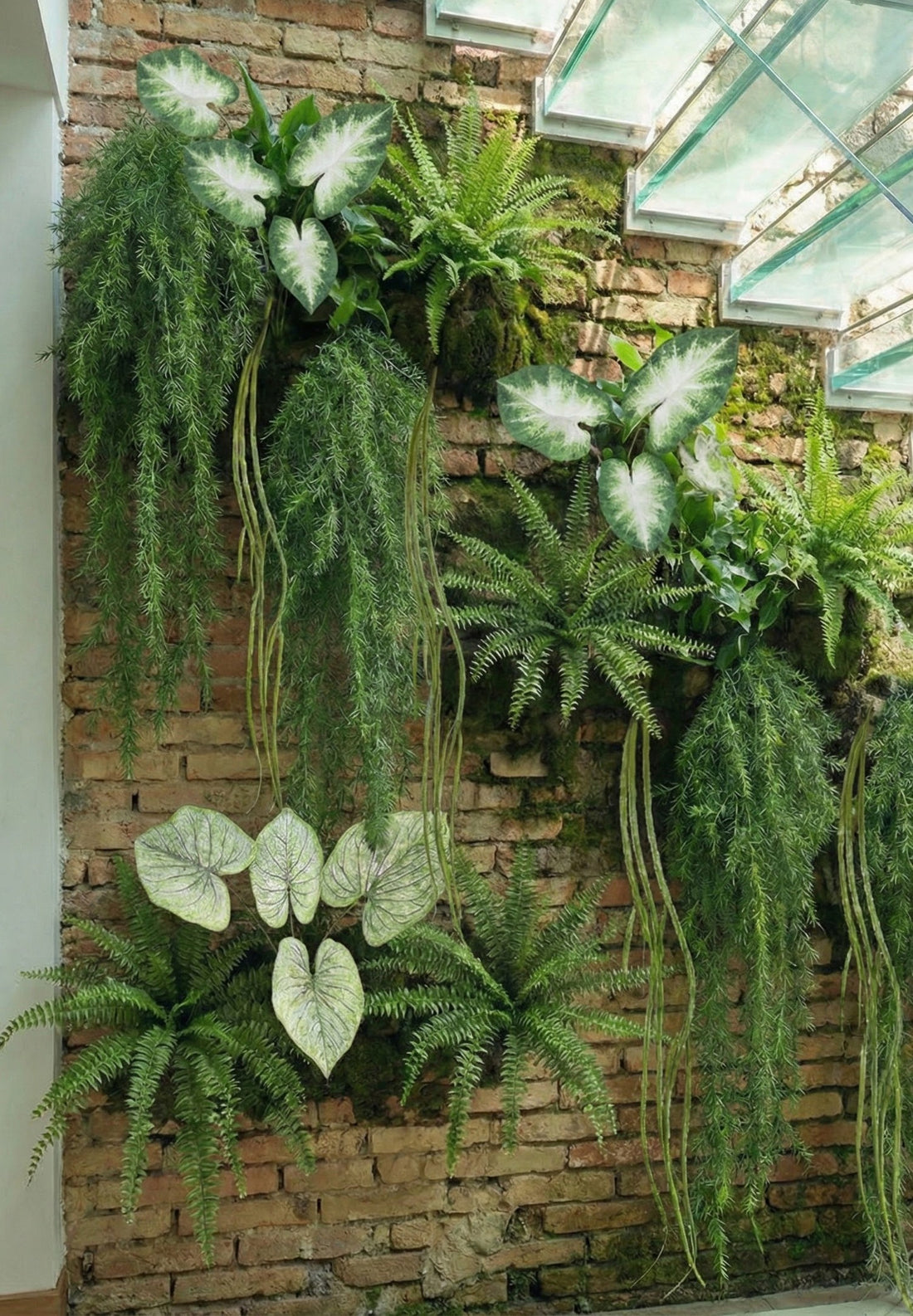 CALADIUM 61CM VD/CR Cod: 8804-DG