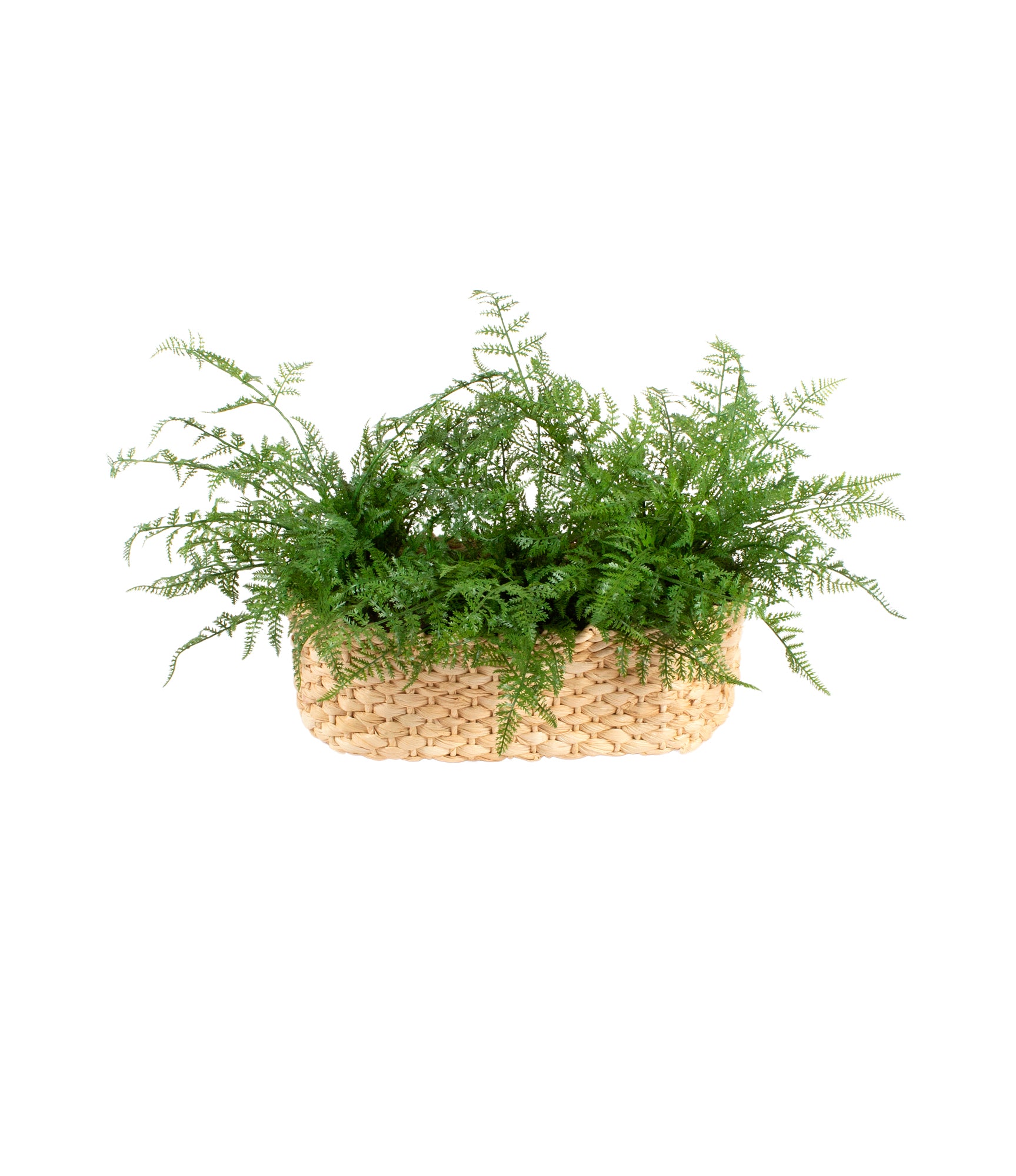 RENDA PORTUGUESA EM CESTO, 35 CM Cod: A6824