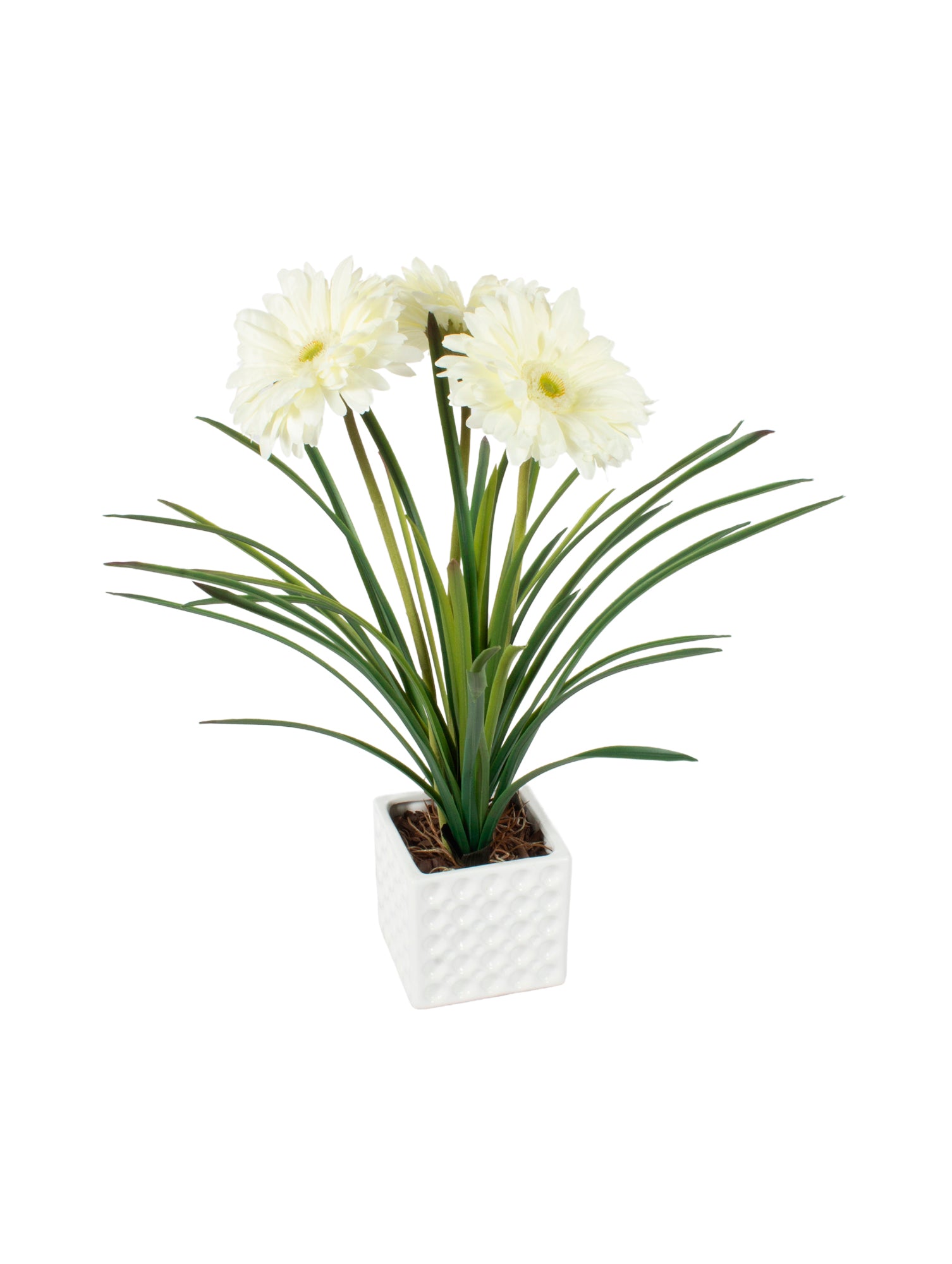 GÉRBERAS BCAS EM CER 40CM Cod: A6869