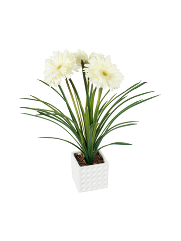 GÉRBERAS BCAS EM CER 40CM Cod: A6869